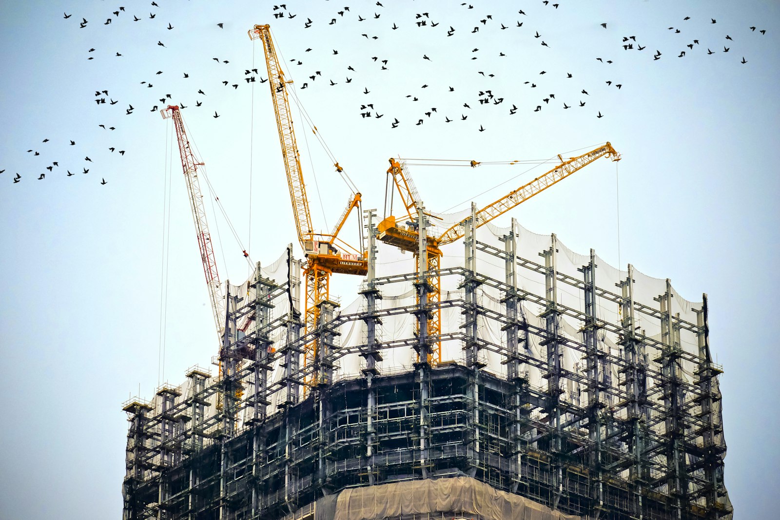 Commercial construction site with cranes